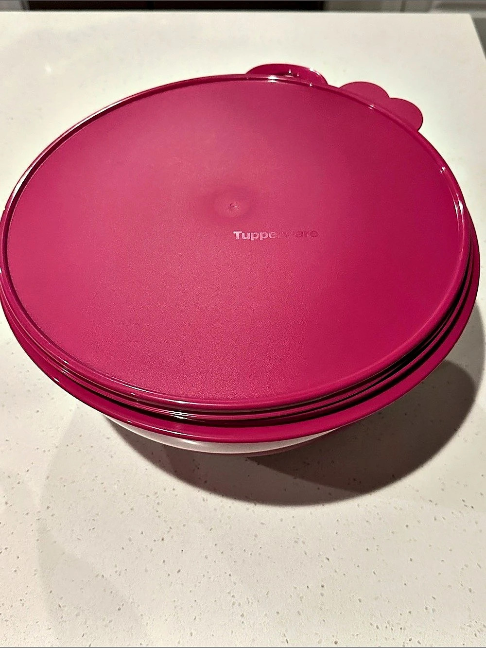 Tupperware Thatsa Bowl Pink Food Storage Bowl